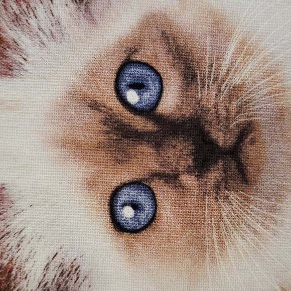 Birman Cat Iron On White Cat Fluffy Cat - Picture 2 of 6